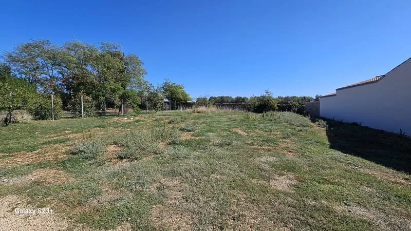 Terrain