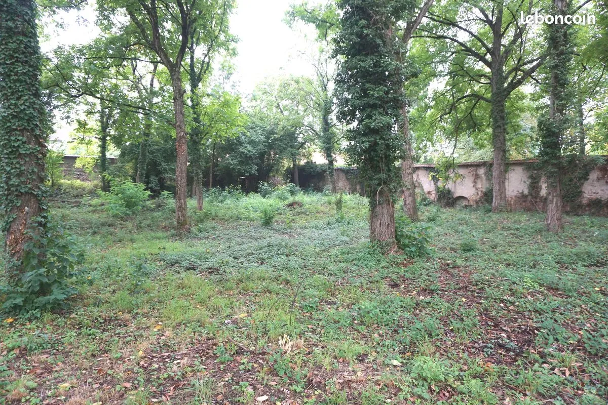 Terrain