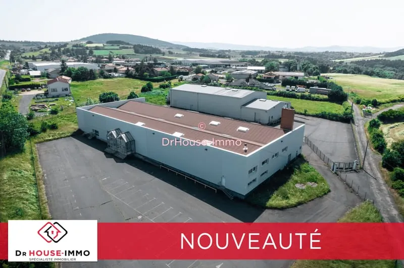 Local d'activité
