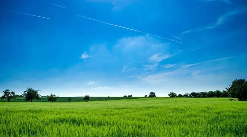 Terrain