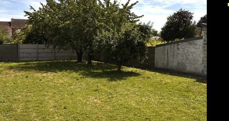 Terrain