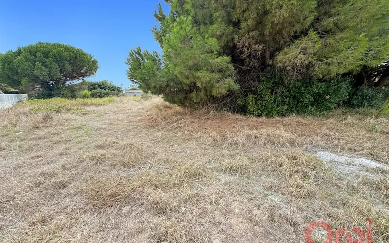 Terrain