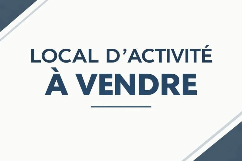 Local d'activité