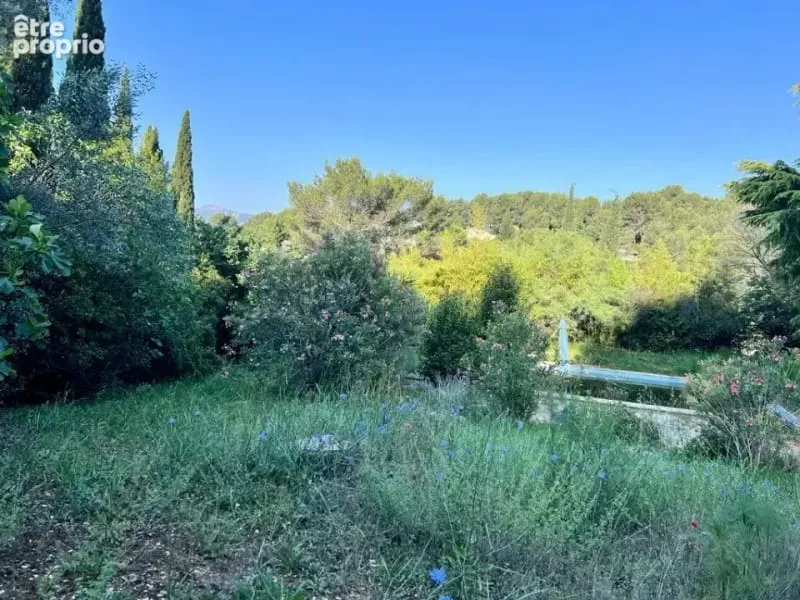Terrain