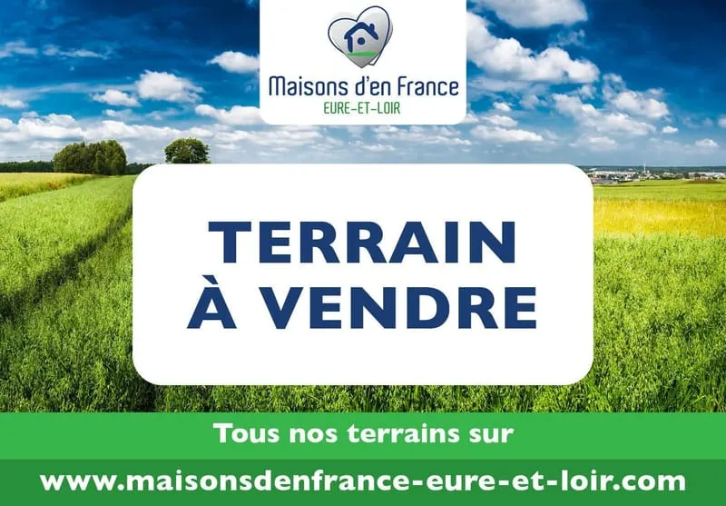 Terrain