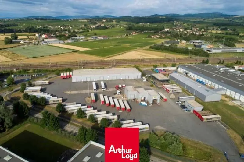 Local d'activité