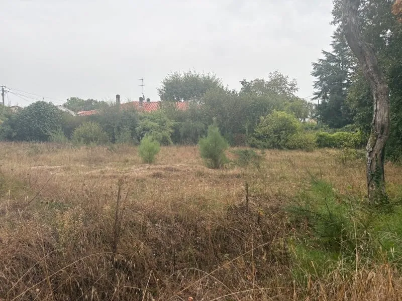 Terrain