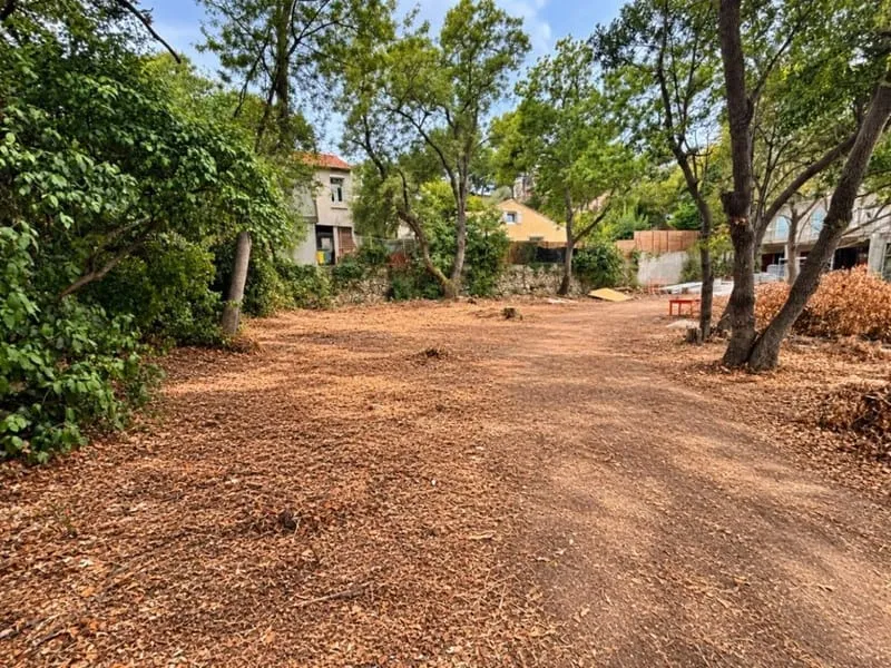 Terrain