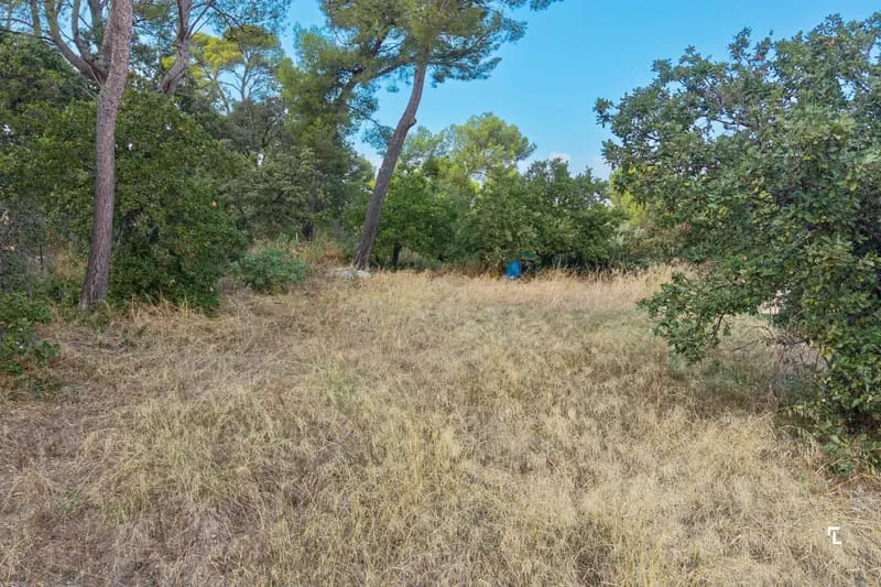 Terrain
