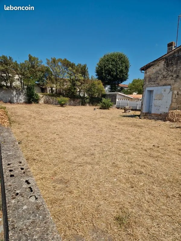 Terrain
