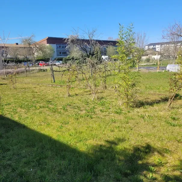 Terrain