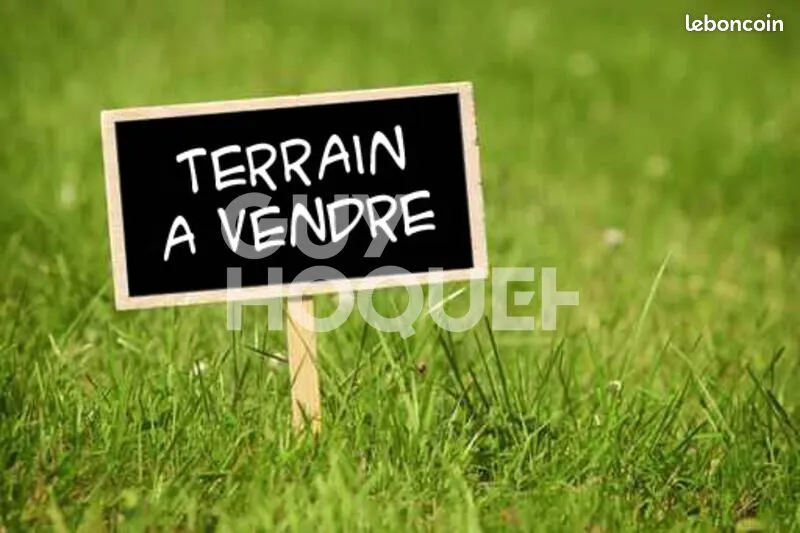 Terrain