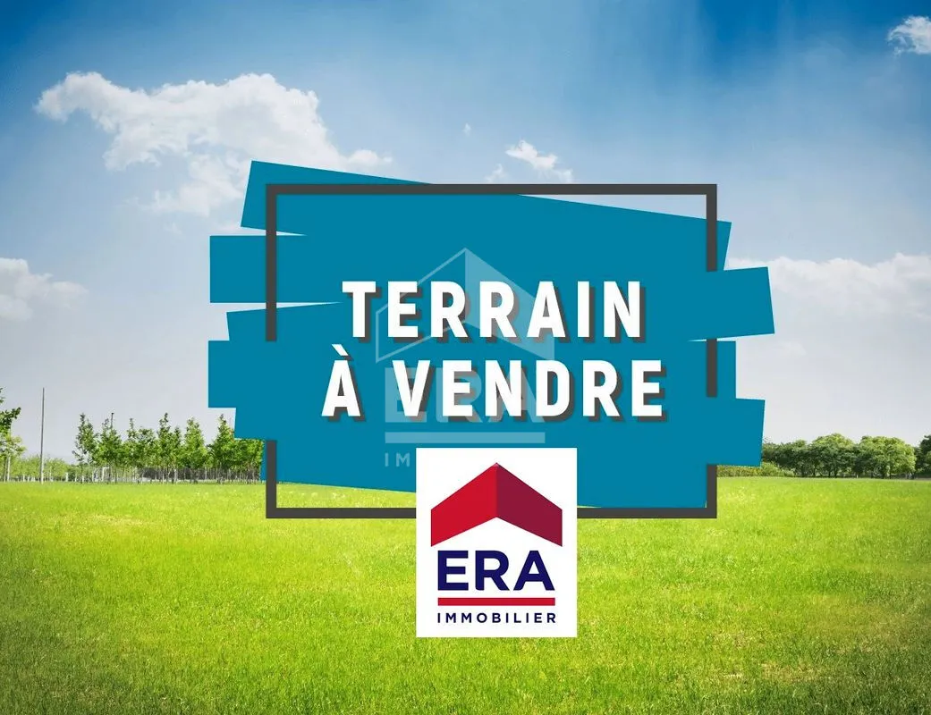 Terrain