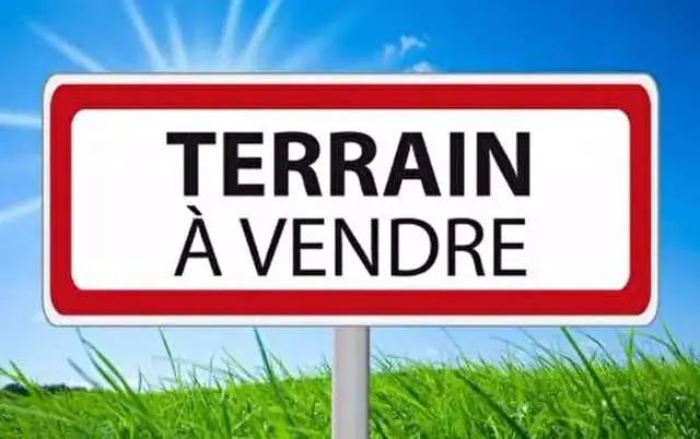 Terrain